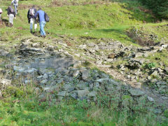 Trwyn farmhouse, Nant Gwyddon Valley, Abercarn, November 2011